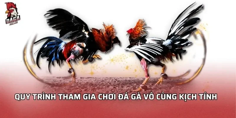 quy-trinh-tham-gia